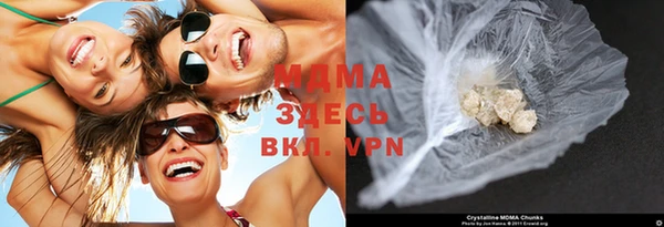 шишки Белокуриха