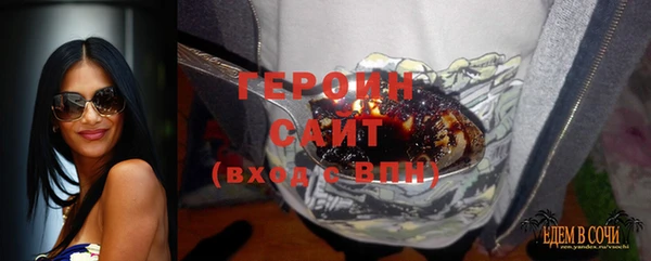 шишки Белокуриха