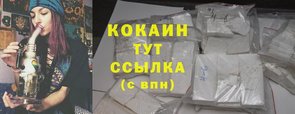 шишки Белокуриха