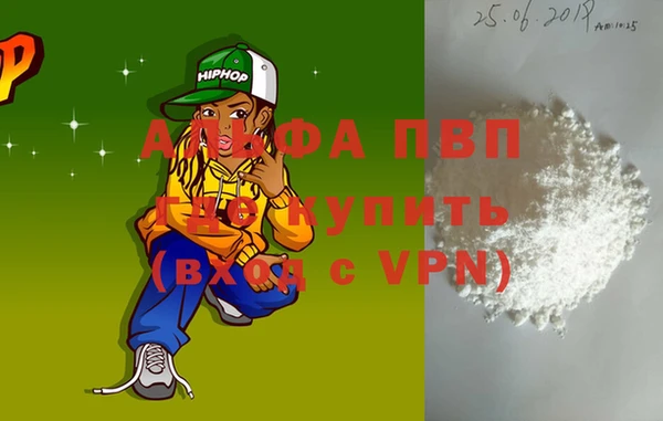 шишки Белокуриха