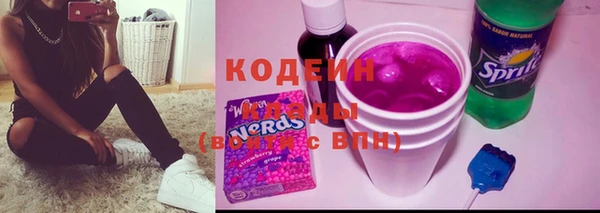 шишки Белокуриха