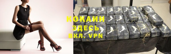 шишки Белокуриха
