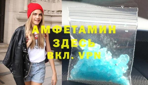 шишки Белокуриха