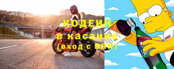 шишки Белокуриха