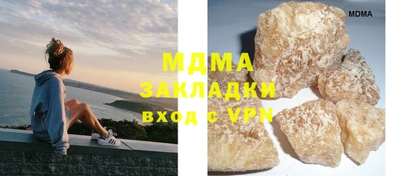 шишки Белокуриха