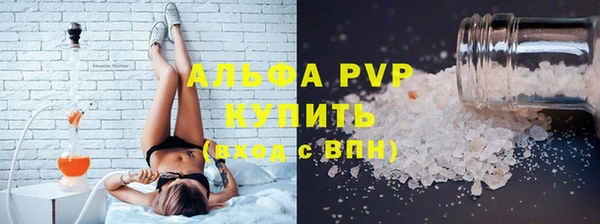 шишки Белокуриха